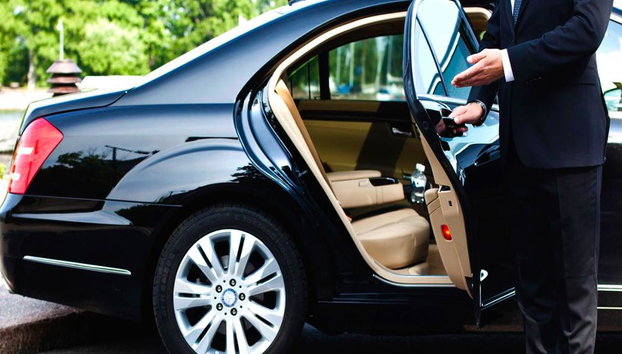 Private Tour: Car Disposal and Driver for Lunch or Dinner Service - Photo 2